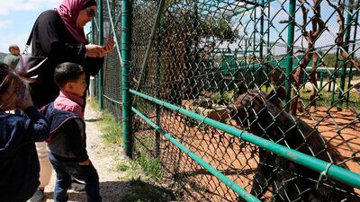 People watch a bear in an enclosure at Al Ma'wa For Nature and Wildlife.