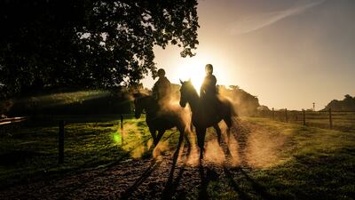 Horses return from the gallops at Sam Drinkwater's Granary Stables in Strensham, Worcestershire. PA