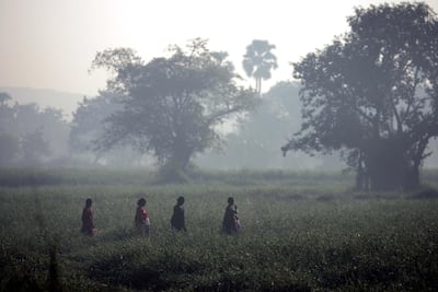 The plot on which the state wants a joint venture between Bamco Tech and Aarey Milk Colony to house slumdwellers. Getty
