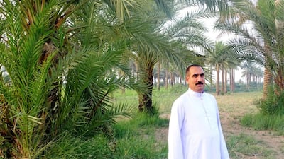 Dr Adnan Al Jumaily inspects his palm trees as we he walks through the unkept farm. Sofia Barbarani / The National