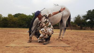 Indo-Tibetan Border Police's dog and horse yoga. Photo: Twitter/ITBP_official