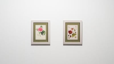 Fair Trade and Assisted Reconstruction. Courtesy Babak Golkar and Third Line Dubai