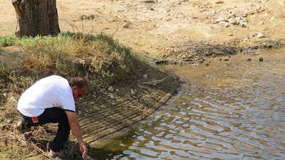 The diminutive marine life – which reach up to about 5mm in length – are essential to the healthy functioning of water ecosystems. Photo: Prof Waleed Hamza
