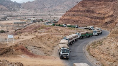 Lorries sent by the World Food Programme head for Ethiopia's Tigray region, where aid delivery has increased since a ceasefire deal was signed. AFP