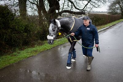 Kevin Hunt leads Happy Power through Park House stables. Mark Chilvers / The National