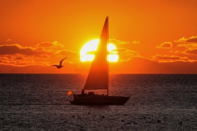 A yacht sails along the Gulf of Finland at sunset in St Petersburg, Russia. AP