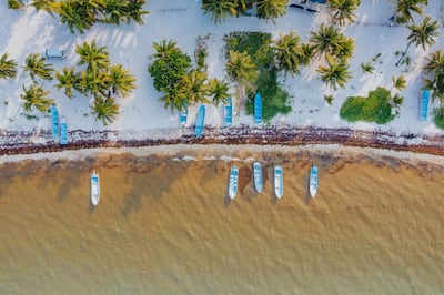 Mexico tops UAE travellers' wishlists. Photo: Tom Robak / Unsplash