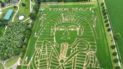 An effigy of Tutankhamun's famous death mask forms a maze in the north of England. PA