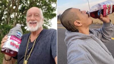 Mick Fleetwood has joined TikTok to recreate Nathan Apodaca's tribute to Fleetwood Mac's 'Dreams'. TikTok / mickfleetwood, 420doggface208
