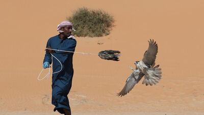 An Emirati falconer trains his bird during the Liwa Moreeb Dune Festival in the Liwa desert. The festival runs until January 6.