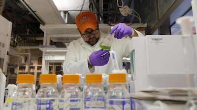 What motivates high-performing scientists is the opportunity to engage in challenging scientific endeavours. Karim Sahib / AFP