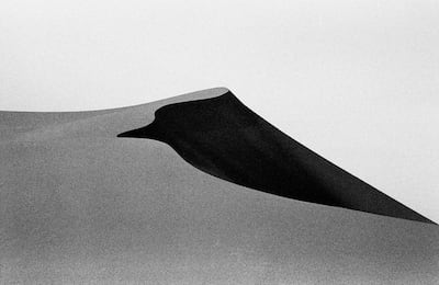 Dasht-e Lut. Courtesy John R Pepper