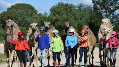 From left, cameleers Chontelle Jannese, Bryan Passmore, Claire Sansom, Larissa Smith, Emily Parrot and Alexis Adams, pose for a group photograph before a race.