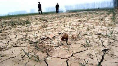 Drought has hit farmers hard in China, with the government pledging $1 billion to fight the worst winter drought in 60 years. The drought has affected more than 6.4 million hectares of wheat crops in eight provinces. Lu Jian / EPA
