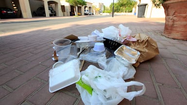 Companies must phase out plastic packaging for food delivery to comply with new laws. Satish Kumar / The National