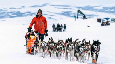 Thomas Waerner won the 2020 Iditarod trail sled dog race. AP