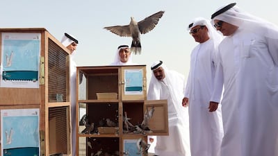 Hussain Lootah, Director General, Dubai Municipality releases the birds as a part of Dubai Municipality Wildlife Efectivenes campaign near Al Khawaneej area in Dubai. Satish Kumar / The National
