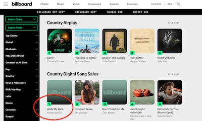 A song by 'Breaking Rust' rose to the top of many music charts, but some have accused it of being a product of AI tools.