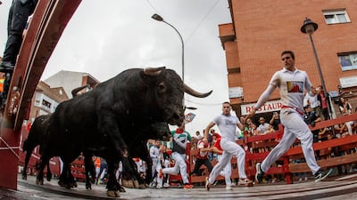 'Mozos' or bull-runners take part in the bull run at San Sebastian de los Reyes, Spain, 31 August 2024. The fiestas at San Sebastian de los Reyes are known as 'Pamplona Chica' (little Pamplona) and are held every year in August. EPA / RODRIGO JIMENEZ