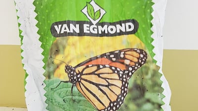 Step 1: Get good quality soil or potting compost. I used Van Egmond from my local plant shop. All photos Sarah Maisey