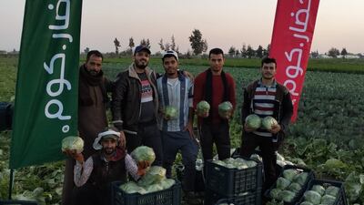 Egypt's Khodar connects farmers with various businesses seeking to buy fresh produce. Photo: Khodar