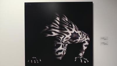 Inta Omry by Hazem Mahdy (UAE), a self portrait on display as part of the Islamopolitan exhibit.