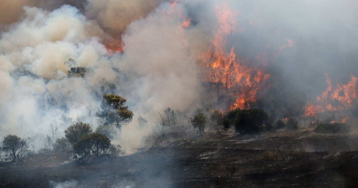 Area in Europe affected by wildfires could triple as a result of climate change