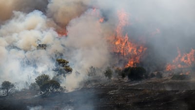 Flames engulf a forest in Greece. Heatwaves and an early drought have created tinderbox conditions in many parts of Europe. Reuters