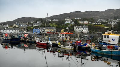 Fishing boats are seen tied up at Tarbert Harbor in western Scotland after the price of fish collapsed. Getty.
