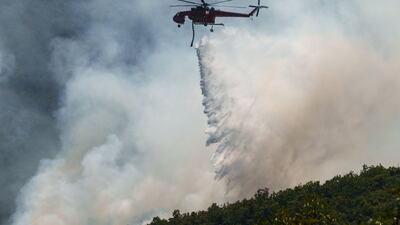 Greece's fire service says the blaze is 'still out of control' in the north-east region's Dadia National Park. Bloomberg