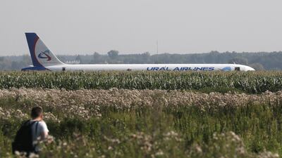 Ural Airlines A-321 passenger plane is seen on the site of its emergency landing in a field outside Zhukovsky airport in Ramensky district of Moscow region, Russia. A-321 with 226 passengers and seven crew members on board en-route from Moscow to Simferopol made emergency landing after a right engine failure following the plane's colliding with seagulls shortly after take-off. Ten people were hospitalized following the accident. EPA
