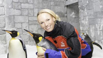 Caroline Wozniacki, the Danish Tennis star, relaxes with Ski Dubai’s penguins ahead of her competing in the Dubai Duty Free Tennis Championships which starts tomorrow. Courtesy Ski Dubai