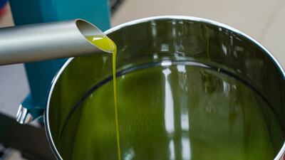 Ras Al Khaimah Ruler Sheikh Saud bin Saqr visits an olive oil producer to witness the farming and processing of olives into olive oil. Photo: RAK Government Media Office
