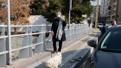 The proposed law pits growing numbers of people with pets against those who consider the practice decadent and hold that under Islamic law dogs, like pigs, are unclean.