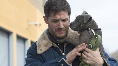 The Drop: Tom Hardy plays a bartender at a bar in Brooklyn used by criminals to launder money finds himself at the centre of a botched robbery. Barry Wetcher / 20th Century Fox