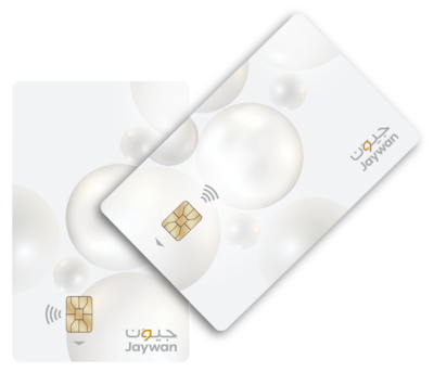 Jaywan will be issued by banks, licensed financial institutions and exchange houses, and is now available for use by consumers. Photo: Al Etihad Payments