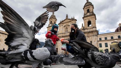 A woman and her child feed pigeons in Bogota, Colombia. AFP