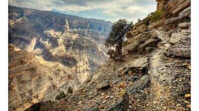 Explore Muscat and brush up on your travel photography skills on the three-day "Faces & Places" tour. Courtesy of Gulf Photo Plus