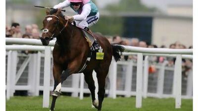Frankel took time getting into gear at the Greenham Stakes with Tom Queally aboard on April 16, but is undefeated in five races heading into tomorrow’s 2000 Guineas at Newmarket.