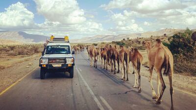 Doctors Without Borders car in Tigray, northern Ethiopia. The charity says preventable diseases like measles could return. Maria Hernandez / MSF