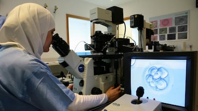 A clinical embryologist at work in Dubai Gynaecology and Fertility Centre. Jeffrey E Biteng / The National