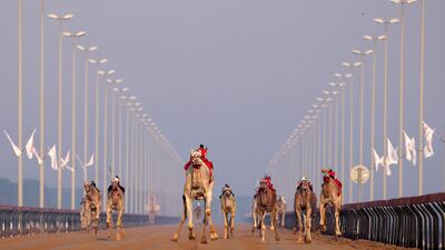 A view of the track at Al Marmoom heritage village. AFP