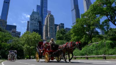 Horse-drawn carriages ride through Central Park. ANGELA WEISS / AFP