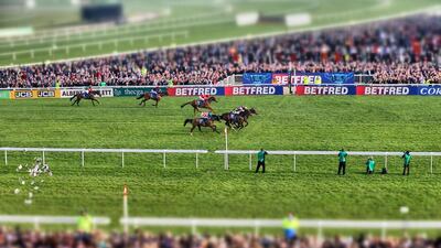Lord Windermere, ridden by Davy Russell, wins the Cheltenham Gold Cup, in Cheltenham, England. Matt Cardy / Getty Images / March 14, 2014.