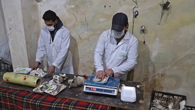 Syrian workers package oyster mushrooms picked up from the organic farmers at Al-Amal.
