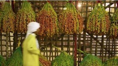 A variety of dates on display during the Liwa Date Festival in the Western Region last year. The festival opens on July 18. Pawan Singh / The National
