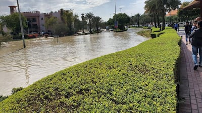 Flooding in Discovery Gardens. Courtesy: Antonio Abreu
