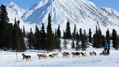 Joar Leifseth Ulsom arrives at the Rainy Pass checkpoint on Puntilla Lake during the Iditarod trail sled dog race. AP