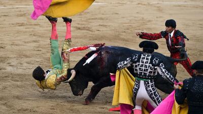 Colombian bullfighter Sebastian Ritter is hit by the bull during a bullfight at the Canaveralejo bullring in Cali, department of Valle del Cauca, Colombia, in the framework of the 58th Fair of Cali. Luis Robayo / AFP