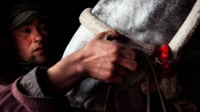 Securing a horse's tack before the match is critical. During the match the riders will lean over, almost to the ground, in order to scoop up the carcass. If the reins fail or come lose they may fall and be trampled.